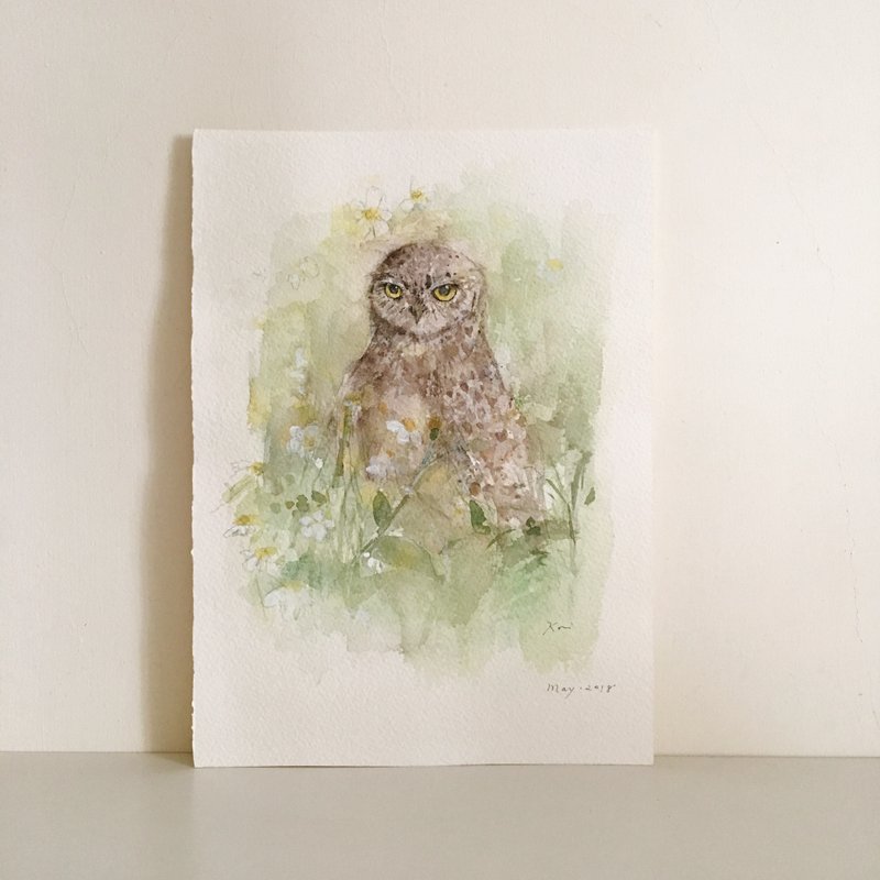 原稿 - 穴鸮 (19.7 x 27.5 cm) 裸画 水彩 - 海报/装饰画/版画 - 纸 