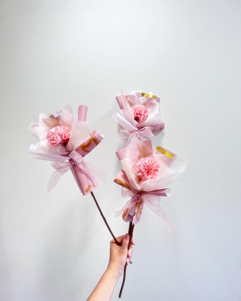 现货48hr出货   附赠透明提袋 小香风温馨康乃馨花束/母亲节礼物 - 干燥花/捧花 - 植物．花 