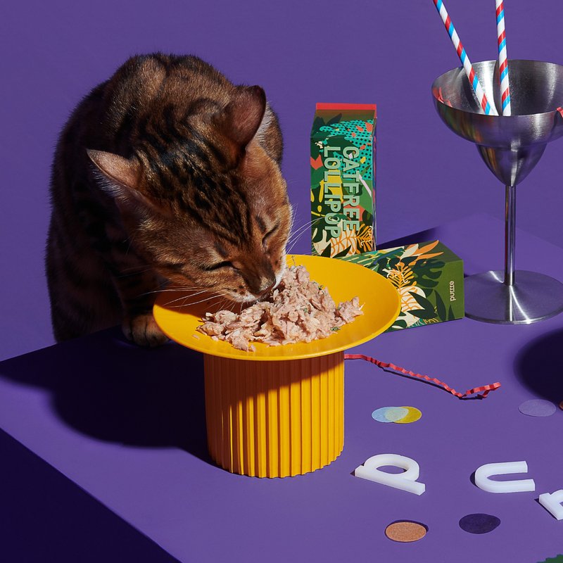 Purrre | 宠物碗 齿间派对 大食碗/小食碟-落日黄 - 碗/碗架 - 塑料 黄色