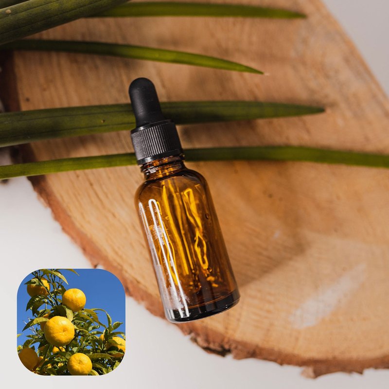 【香间小路】天然精油 苦橙精油 Bitter Orange ( 赠送甜橙精油 ) - 香薰/精油/线香 - 玻璃 透明