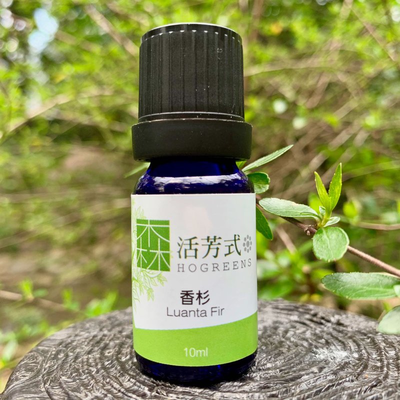 台湾香杉精油 - 香薰/精油/线香 - 植物．花 