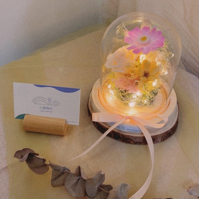 晨光-气氛串灯玻璃花盅 - 干燥花/捧花 - 植物．花 