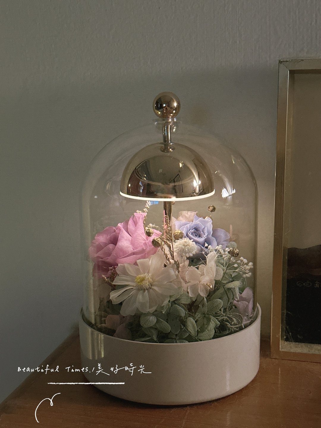 Beautiful Times | 永恒光廊_质感LED永生花触控灯 - 干燥花/捧花 - 植物．花 多色