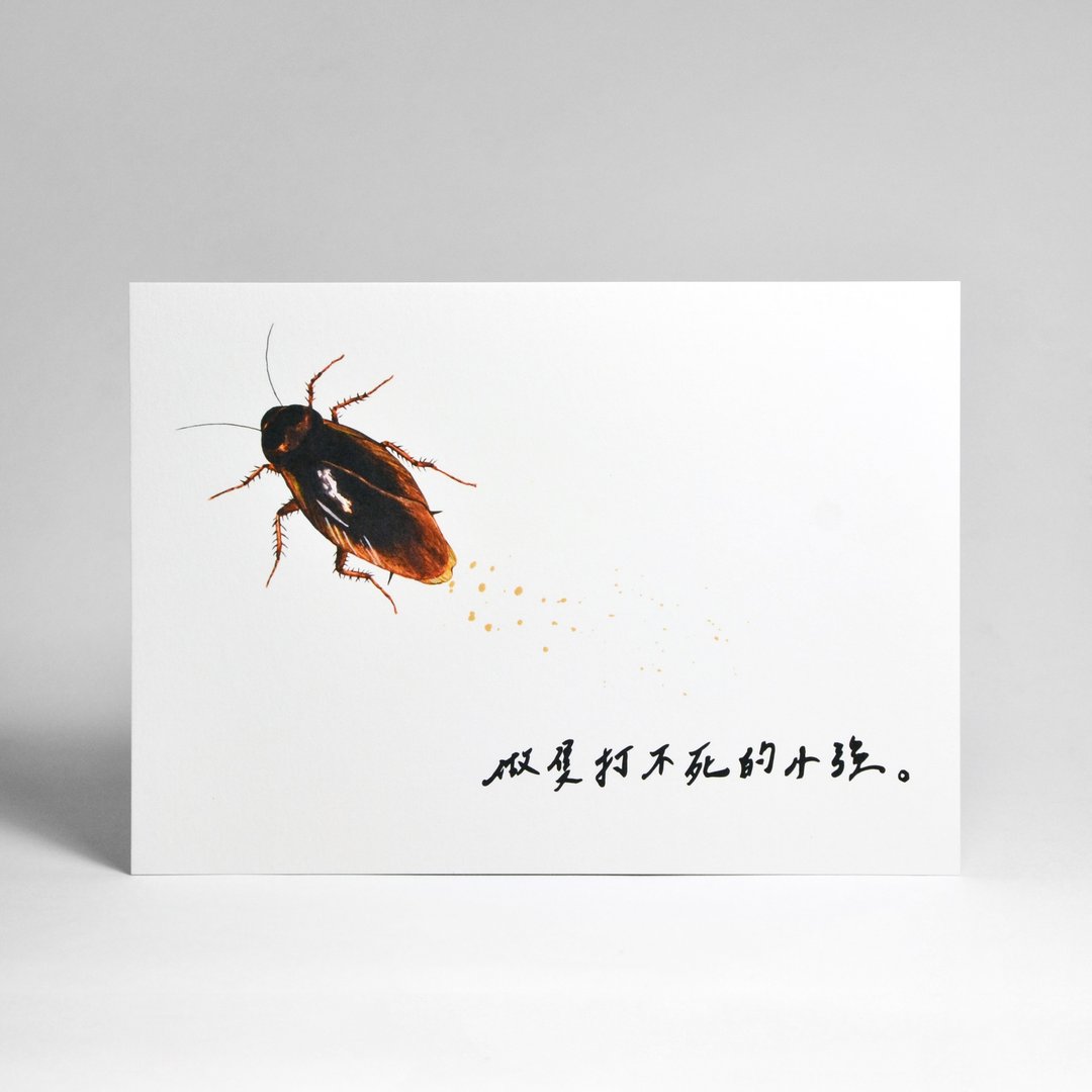 插画明信片-小强的strong(死状) - 卡片/明信片 - 纸 白色