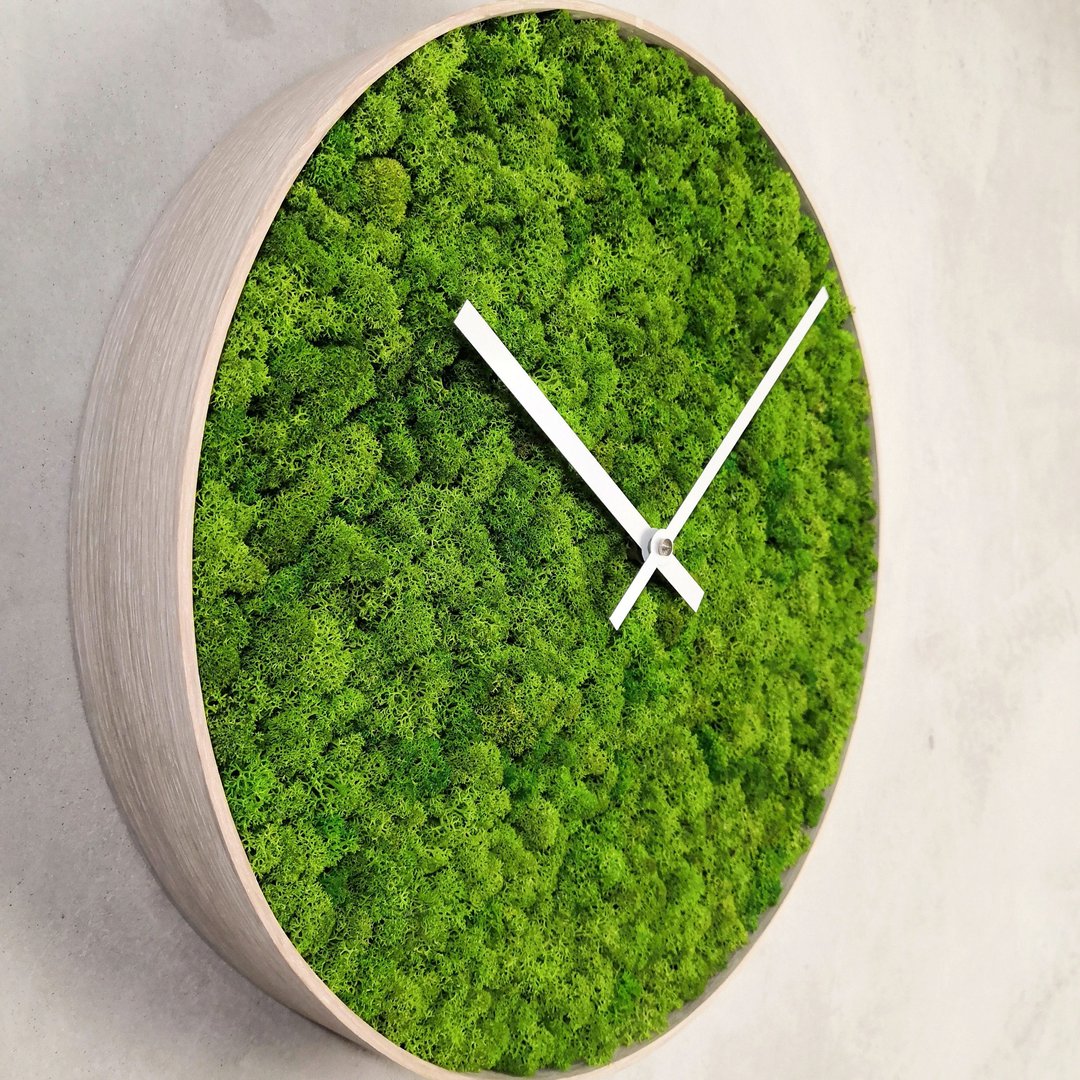 Moss wall decor white wood frame | Large Moss Wall Clock Silent | European style - 墙贴/壁贴 - 植物．花 白色