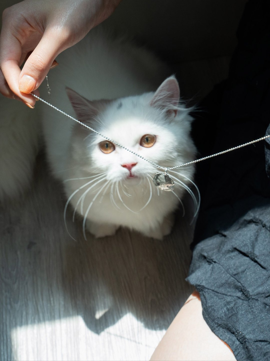 LovyTime伴拾光_敲敲金工_记忆珠宝体验课程×财阀家的公子猫 - 金工/饰品 - 其他金属 