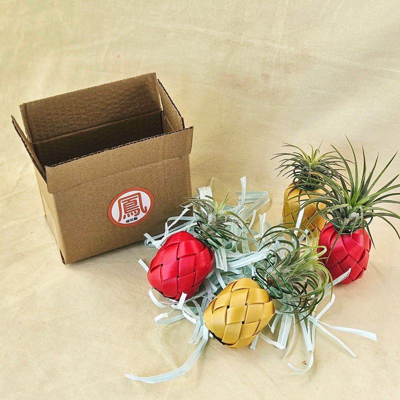 【空凤旺来】纸箱装,含空凤 - 植栽/盆栽 - 塑料 红色