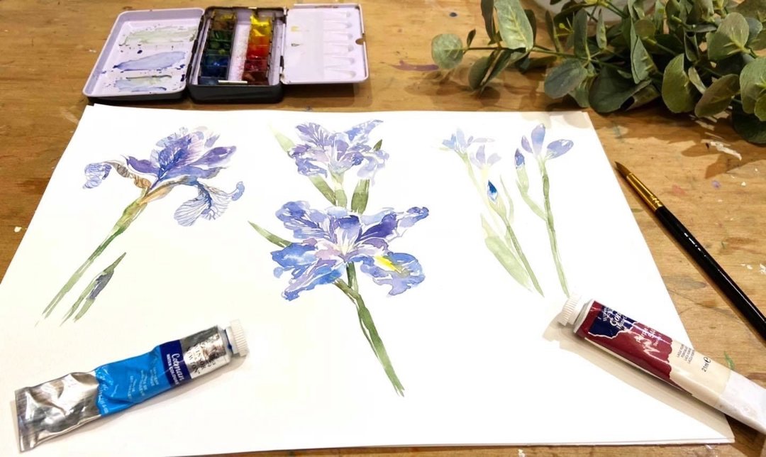 【一人成团】紫色鸢尾花Iris / 水彩渲染插画 - Hazel老师 - 插画/绘画/写字 - 纸 