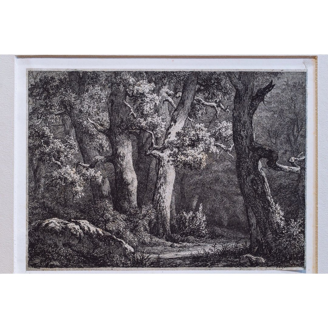 山毛榉 - 尤金 布莱里 - 版画挂画 - 海报/装饰画/版画 - 纸 