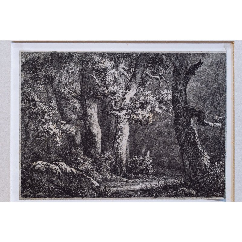 山毛榉 - 尤金 布莱里 - 版画挂画 - 海报/装饰画/版画 - 纸 