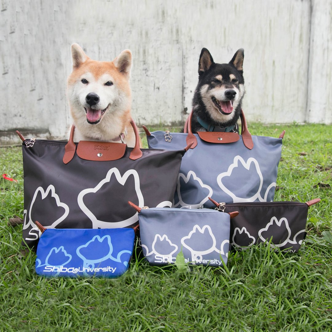 柴犬大学 - 经典叮当柴折叠水饺包 - 侧背包/斜挎包 - 尼龙 多色