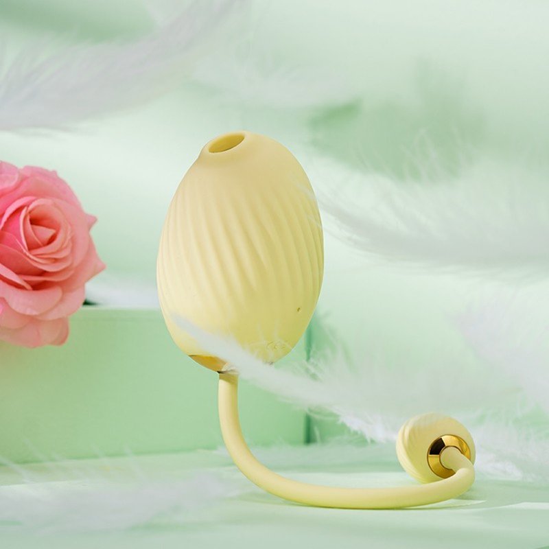 美国SVAKOM-豆趣鸟PLUS GIGI吸吮+跳蛋 口交吸吮按摩器 送润滑液 - 情趣用品 - 硅胶 多色