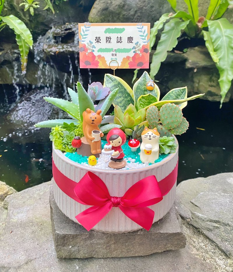 【急单可】免费定制卡片/安全运送/室内盆栽/多肉 仙人掌 虎尾兰 - 植栽/盆栽 - 植物．花 绿色