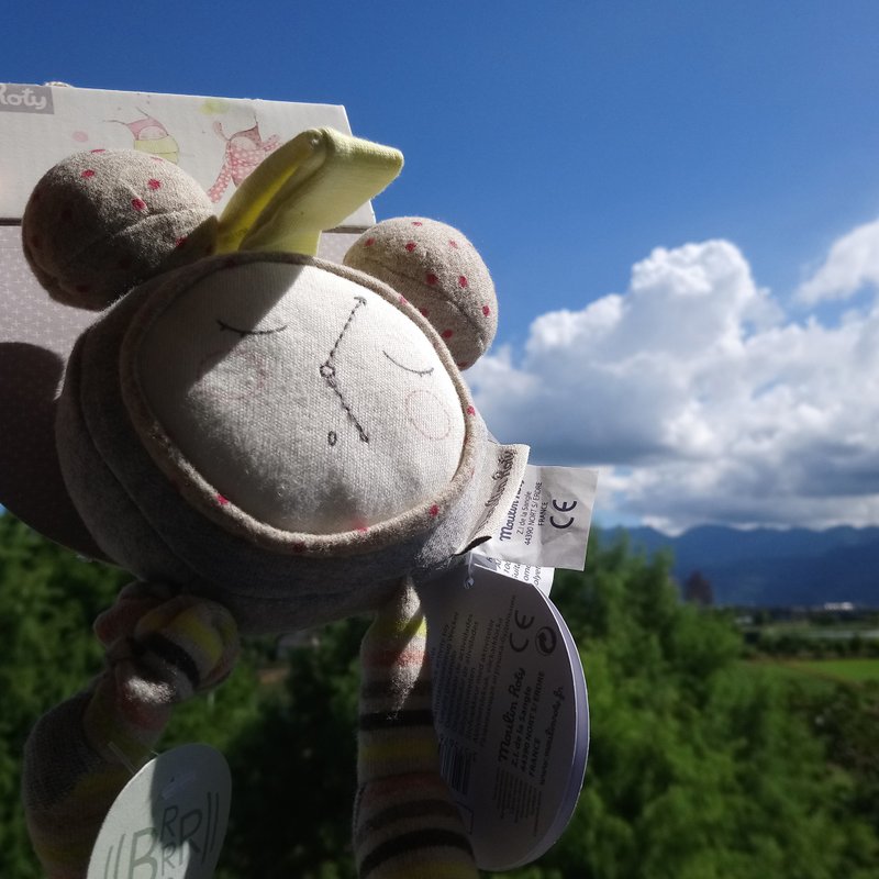 法国 Moulin Roty Les Petits Dodos 早安娃娃 H 21cm - 满月礼盒 - 其他材质 灰色