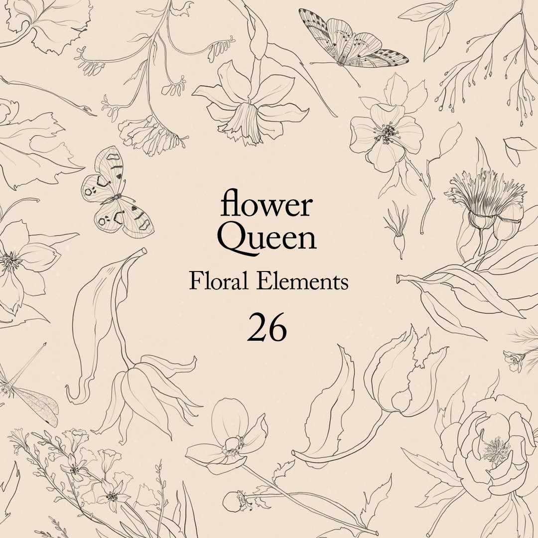 Line art graphic floral element, line botanical clipart - 电子手绘真人画像/绘画/插画 - 其他材质 