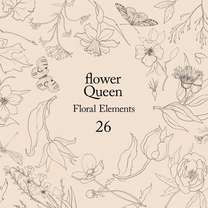 Line art graphic floral element, line botanical clipart - 电子手绘真人画像/绘画/插画 - 其他材质 