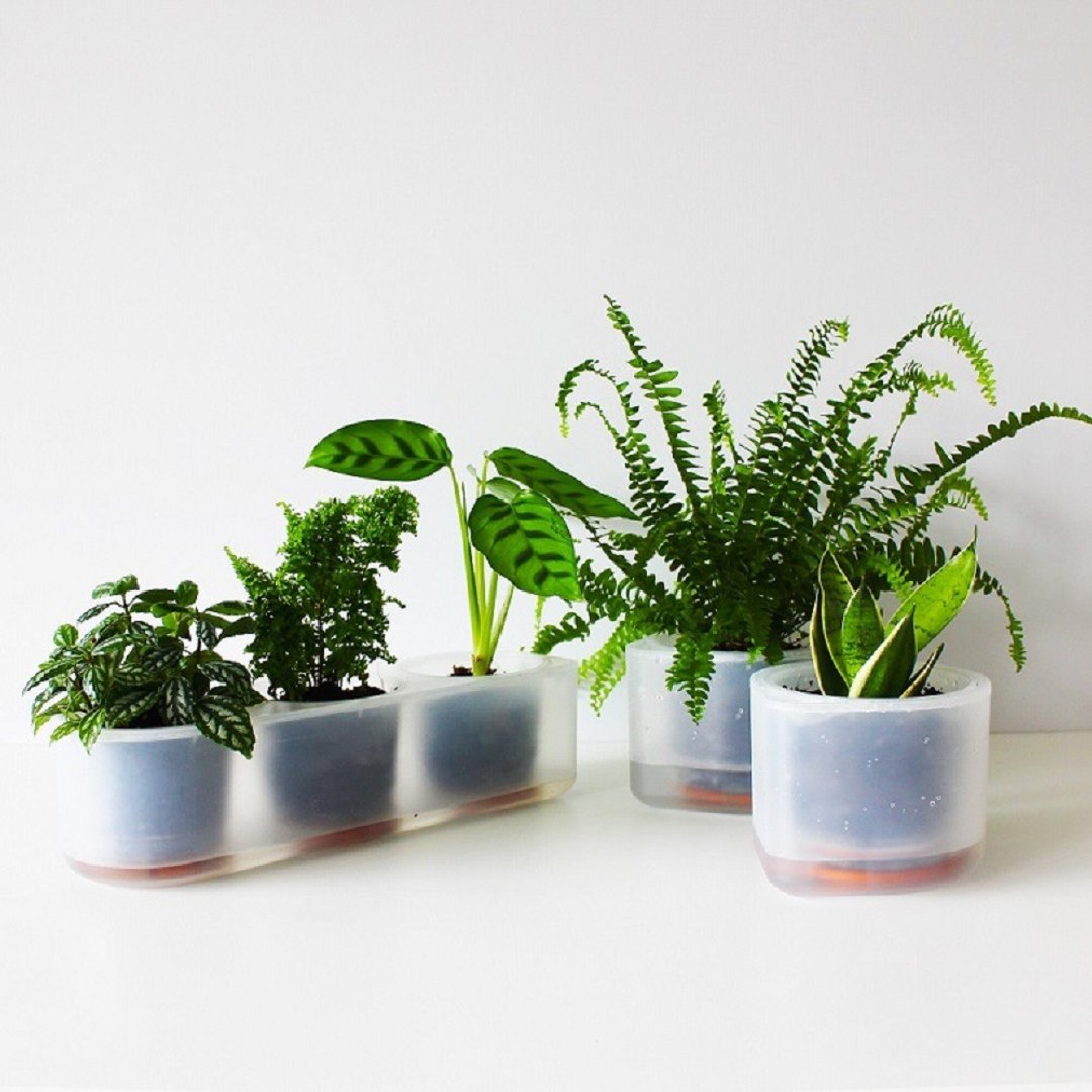 耕作之盆 Self-Watering 懒人花器２+１组 - 花瓶/陶器 - 塑料 透明