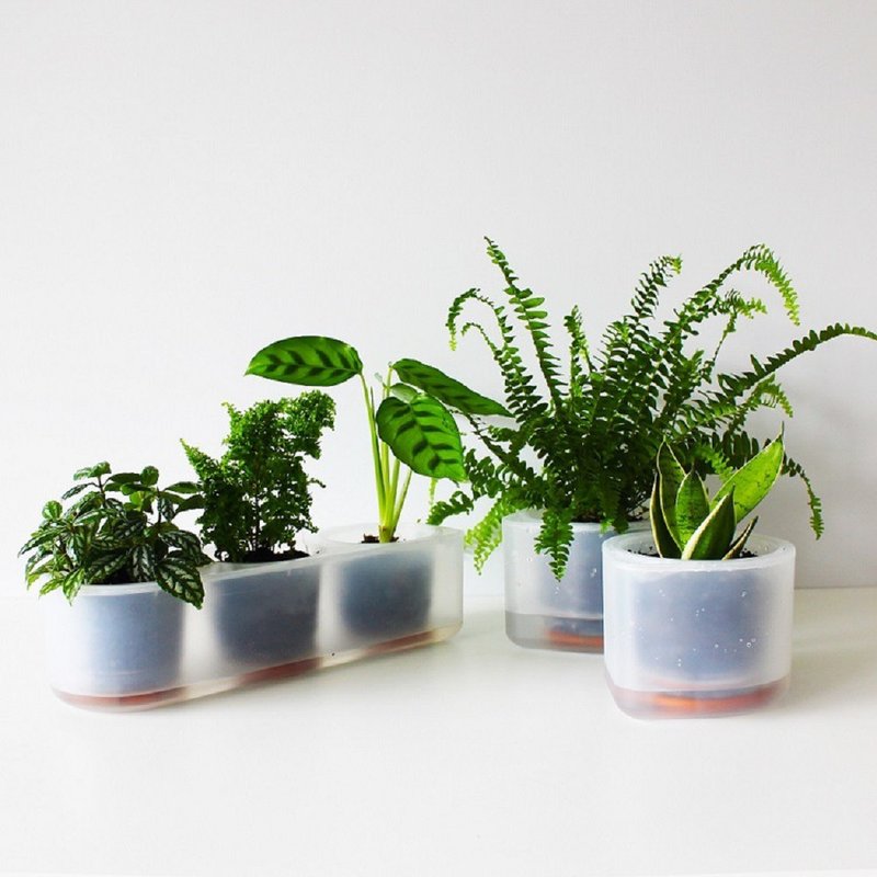 耕作之盆 Self-Watering 懒人花器２+１组 - 花瓶/陶器 - 塑料 透明