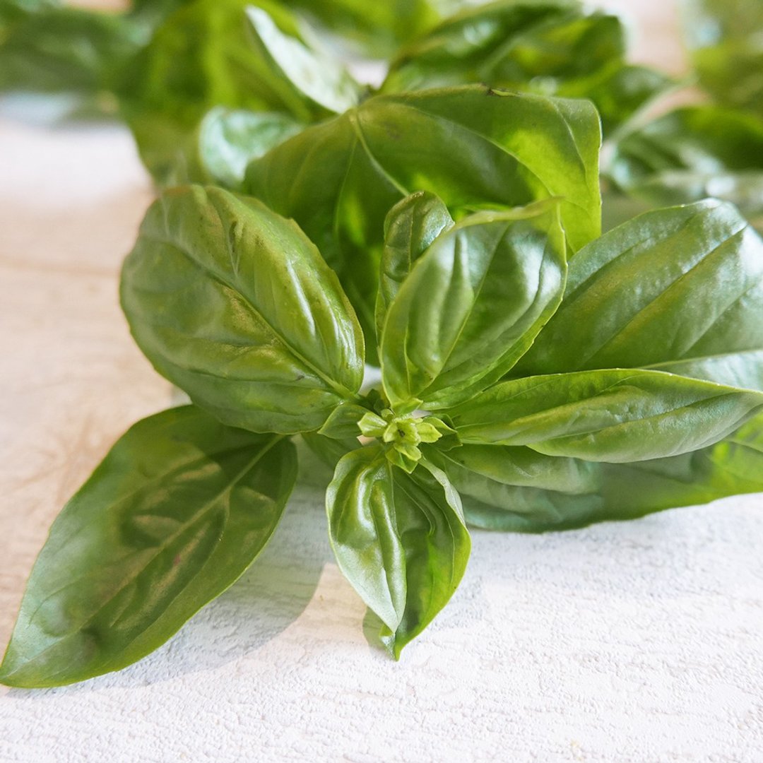 甜月鼠_迷你料理香草包 - 其他 - 其他材质 