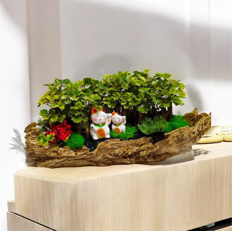 【送礼首选】福禄桐造型盆栽 开幕乔迁新居升官送礼居家店面摆设 - 植栽/盆栽 - 陶 