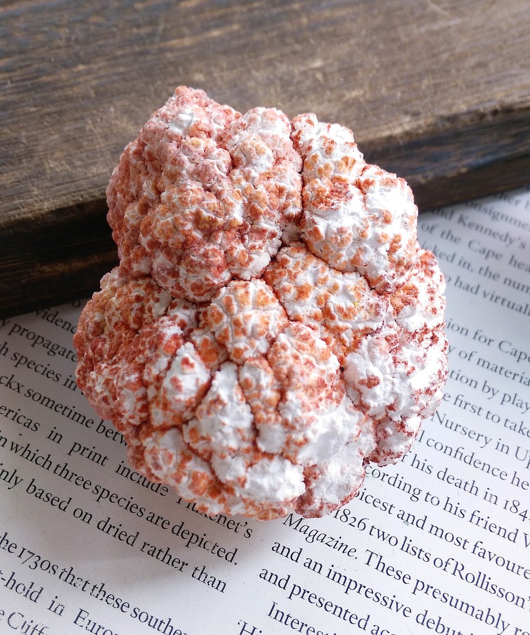 Creedite 贵州产地 氟铝石膏  趣味爆米花 天然矿石 原矿 - 摆饰 - 其他材质 