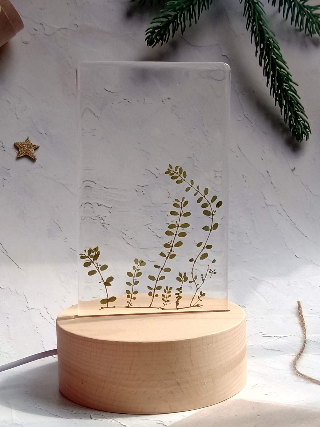 手作押花疗愈LED小夜灯 | 花花草草 - 灯具/灯饰 - 树脂 绿色