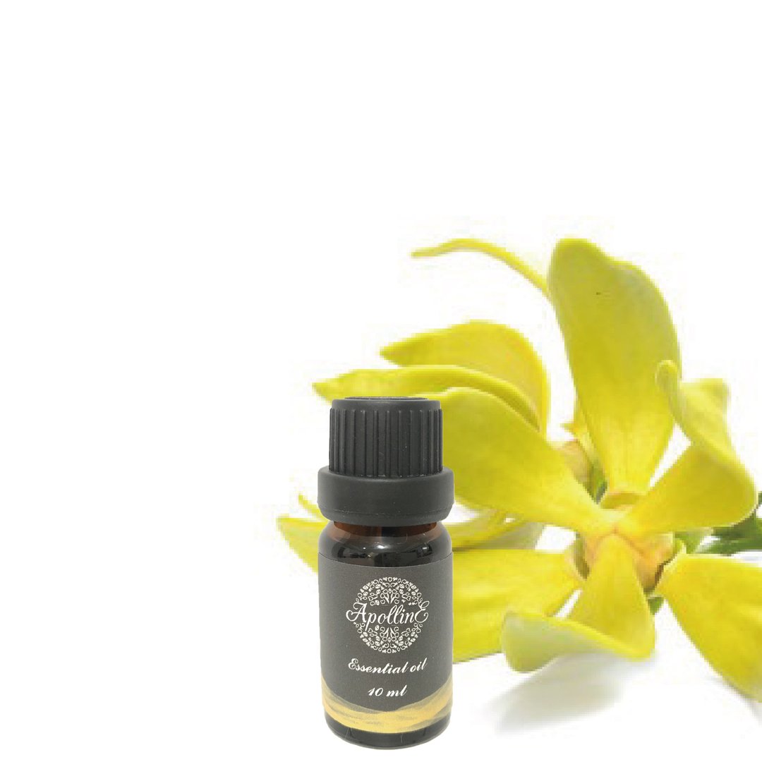 特级伊兰伊兰/香水树精油 YLANG YLANG - 香薰/精油/线香 - 精油 