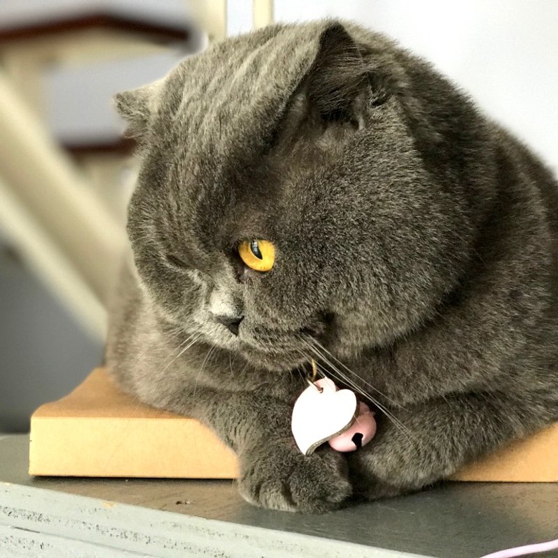 zemoneni I love music系列 之 粉红色的super idol - 项圈/牵绳 - 真皮 粉红色