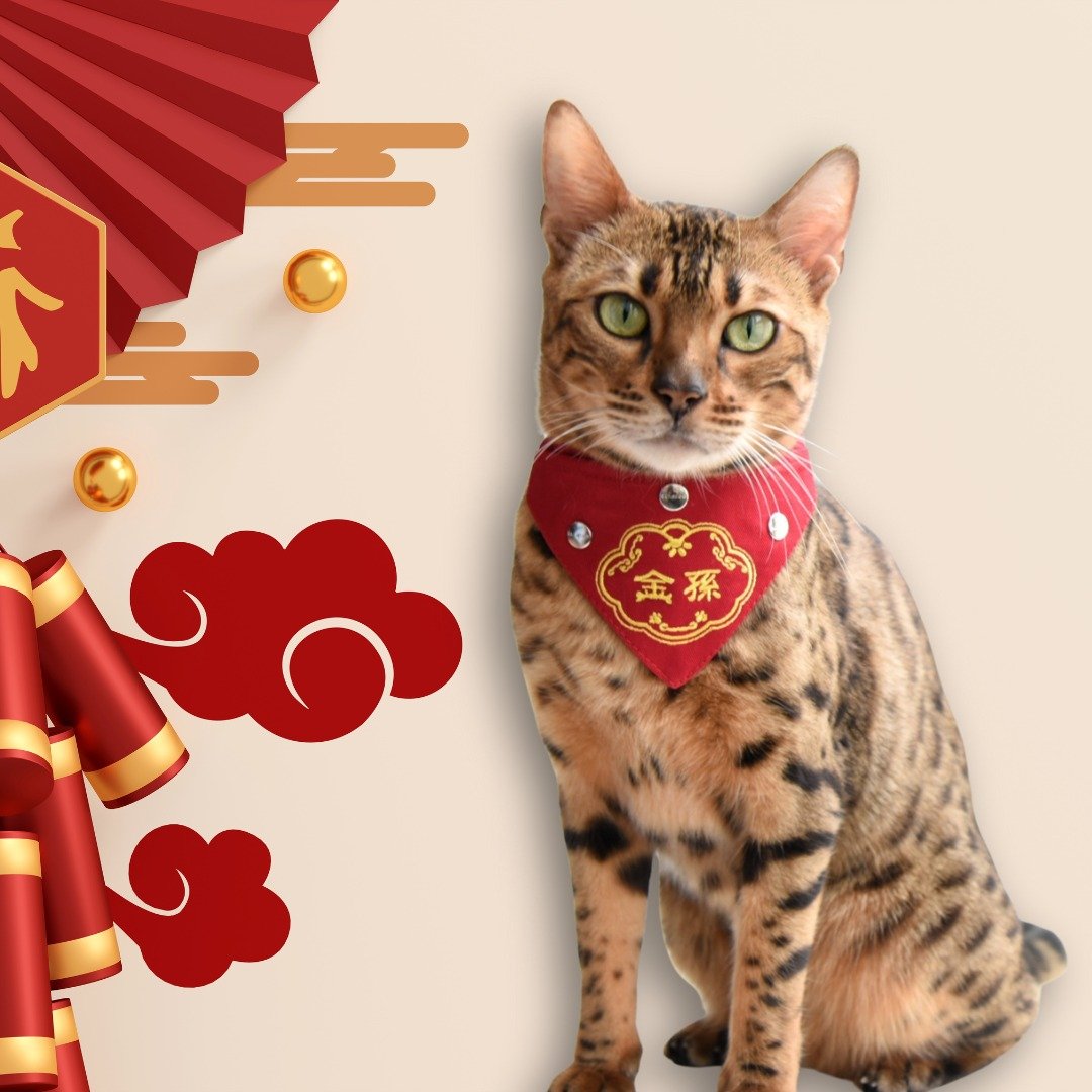 【金孙】猫咪红包口袋刺绣领巾 - 衣/帽 - 棉 红色