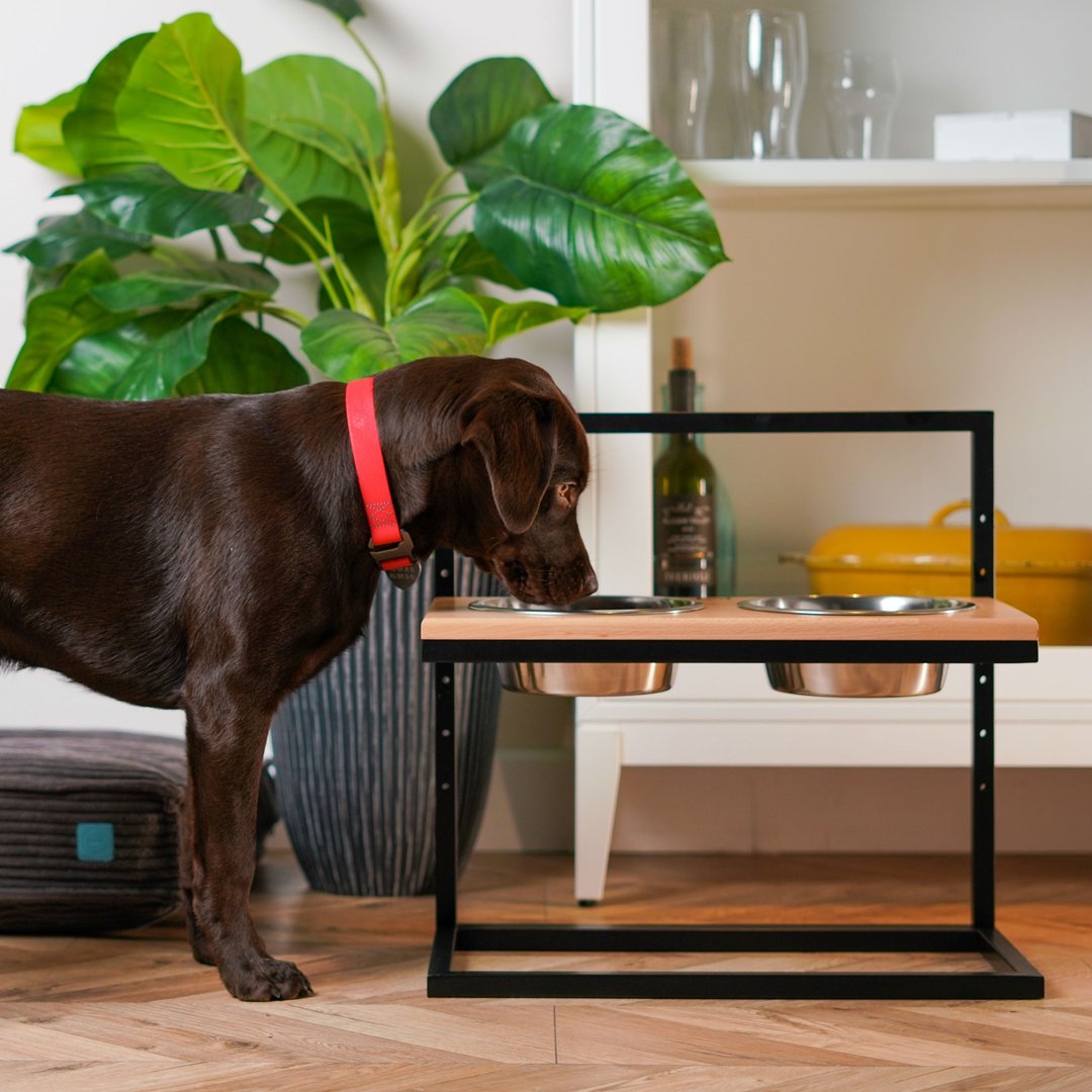 Raised Dog Feeder Adjustable Height Double Bowls Feeder Size L - 碗/碗架 - 其他材质 白色