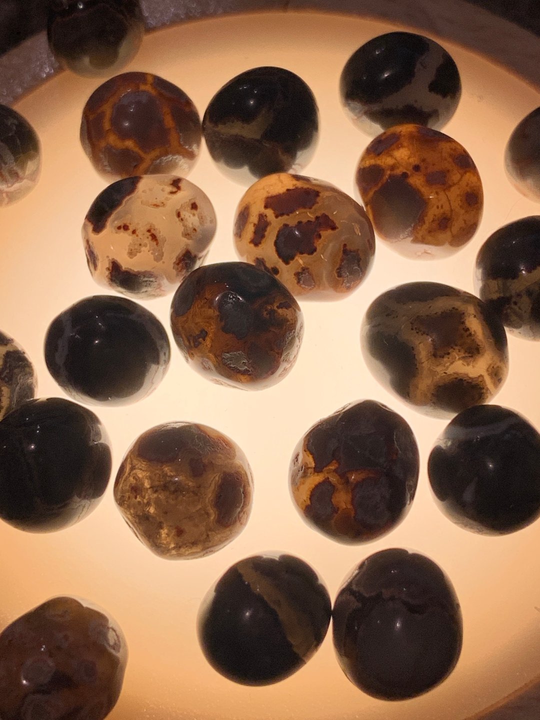 Pitaya agate 新疆哈密 龟背玛瑙 /玉化 - 摆饰 - 其他材质 