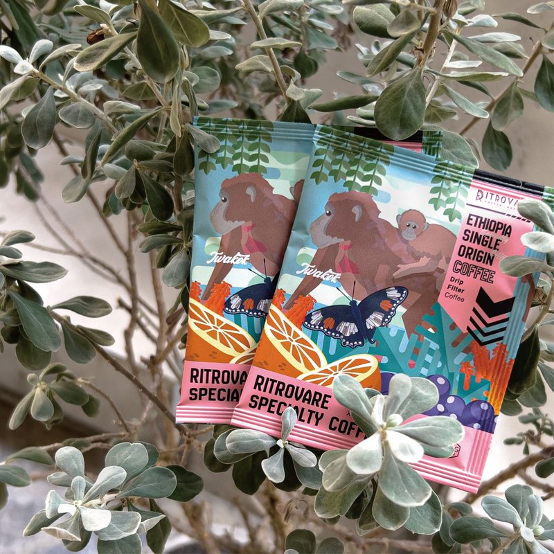 【寻品咖啡・两件 5 折】精品滤挂式咖啡 - 桃可可 G1 水洗 10 入盒 - 咖啡 - 新鲜食材 蓝色