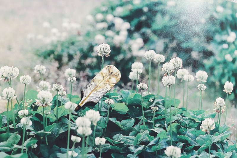 木刻手绘坠饰 - 羽毛 - 其他 - 木头 卡其色