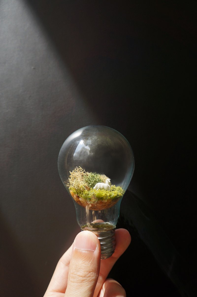 反重力苔灯泡 - 摆饰 - 玻璃 多色