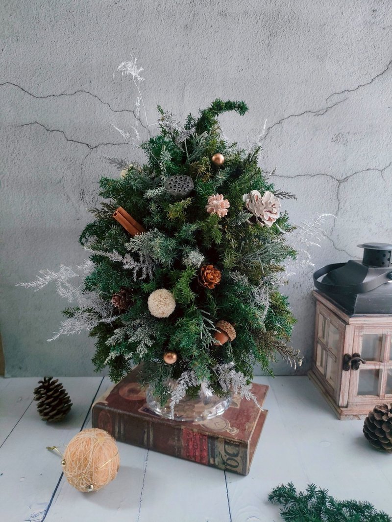 【一人成班】花艺-点亮你的角落(圣诞树)  永生圣诞树 - 植栽 - 植物．花 