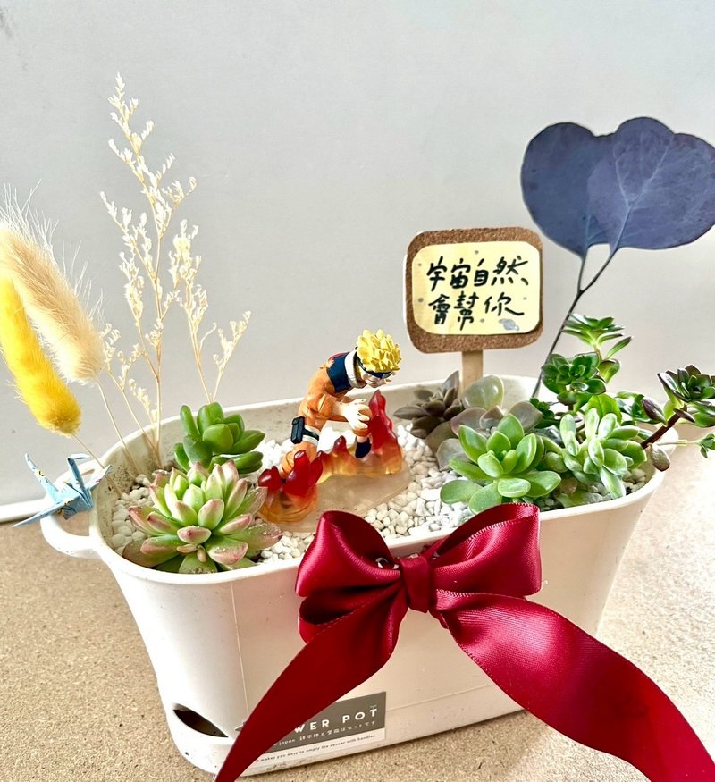 多肉组盆 多肉植物 日式 火影忍者 鸣人 NARUTO 漩涡鸣人 生日礼 - 植栽/盆栽 - 植物．花 绿色