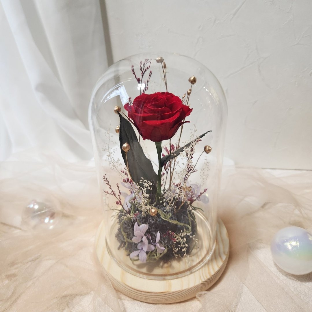 小王子玻璃花钟 (红色款) 不凋花 永生花 干燥花 永生花小夜灯 - 干燥花/捧花 - 植物．花 红色