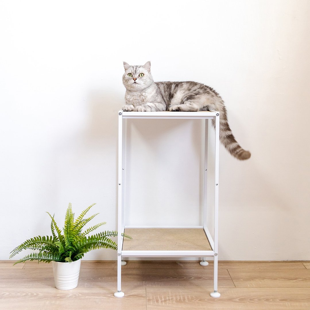 【安阁家】猫咪瞭望台/猫跳台 (中款) - 预购卖场 - 抓板/跳台 - 其他金属 白色