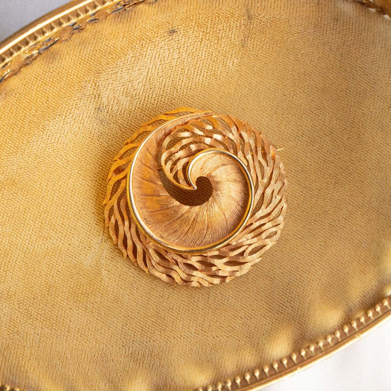 美国无标 黄金海螺细刷纹 镀金胸针 - 胸针 - 其他金属 金色