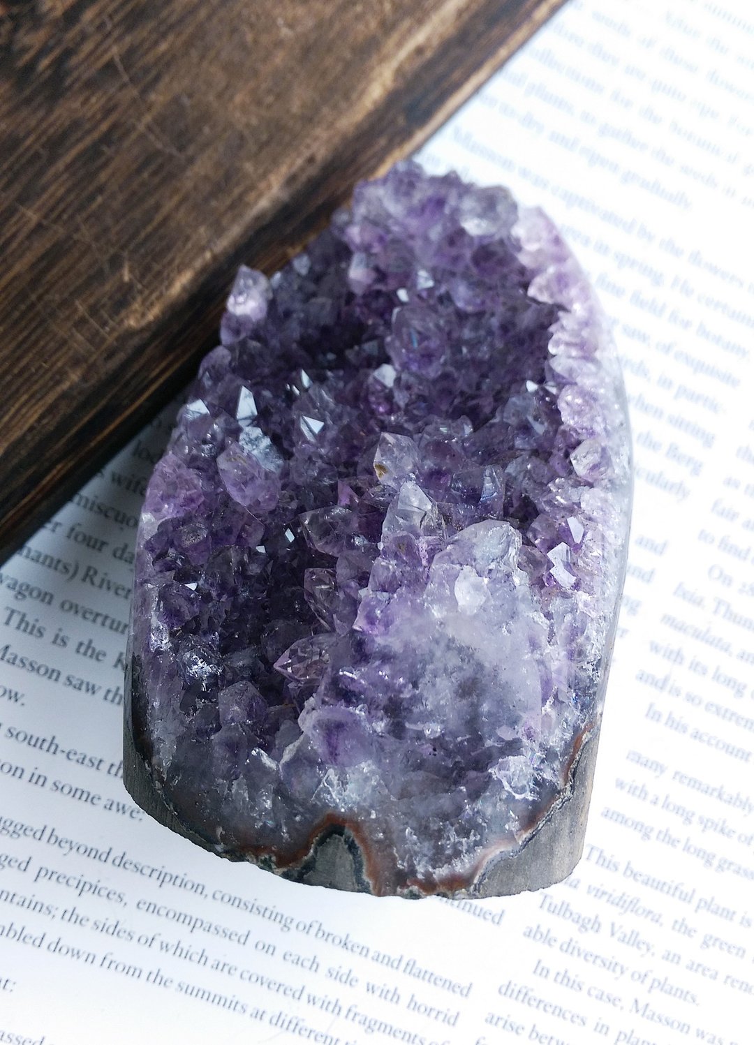 Amethyst  乌拉圭产地 原皮紫水晶  紫水晶晶镇 天然矿石 原矿 - 摆饰 - 其他材质 