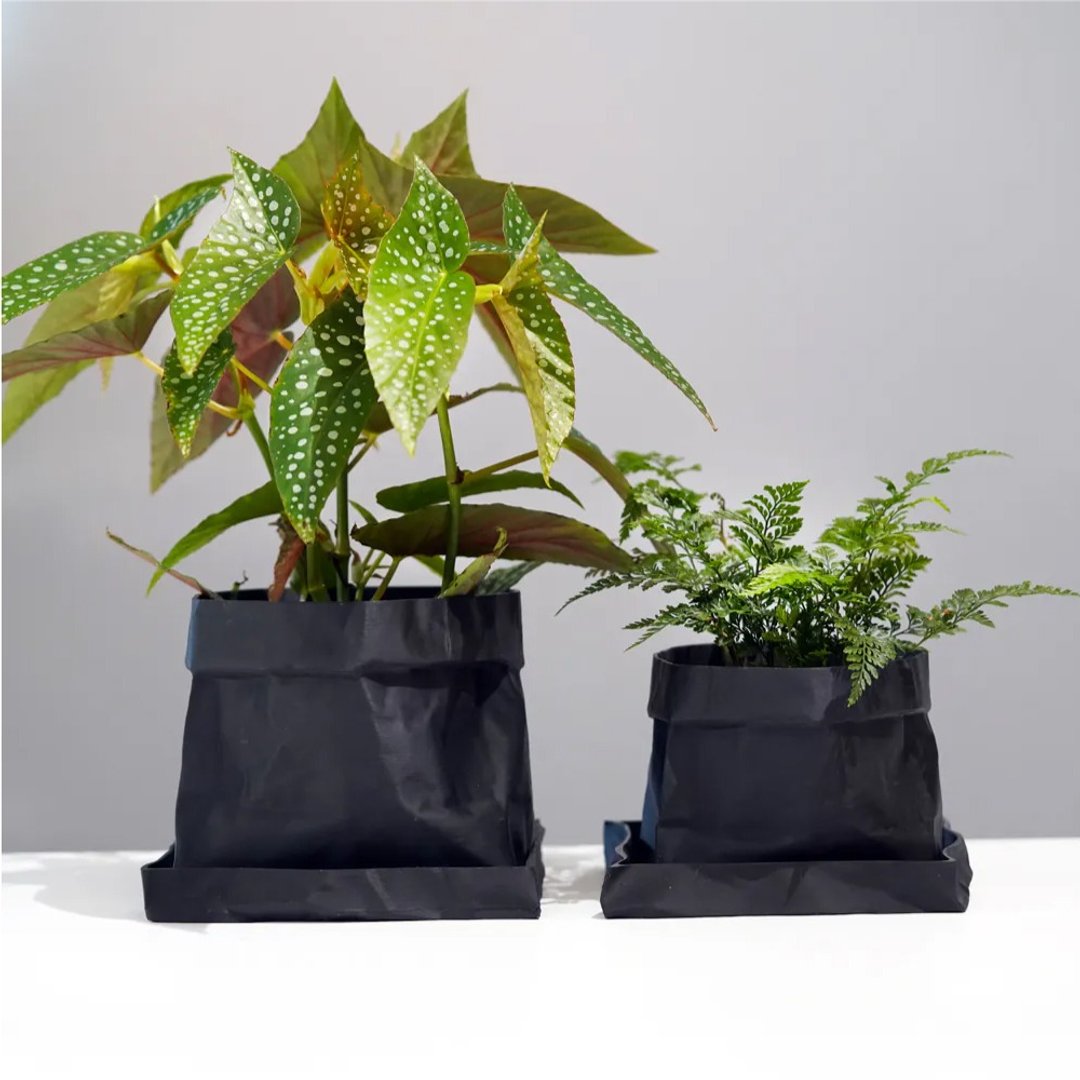 ONF 3D Print Planter - No. 1 BONSAI FOLDED EDGE - 植栽/盆栽 - 其他材质 黑色