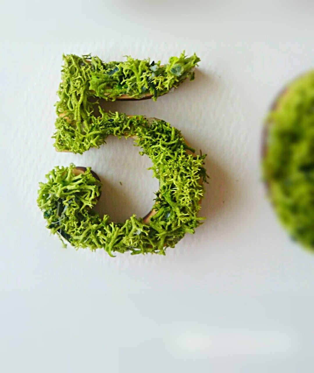 Wooden number object (moss) 5 cm /５x 1 piece - 摆饰 - 木头 绿色