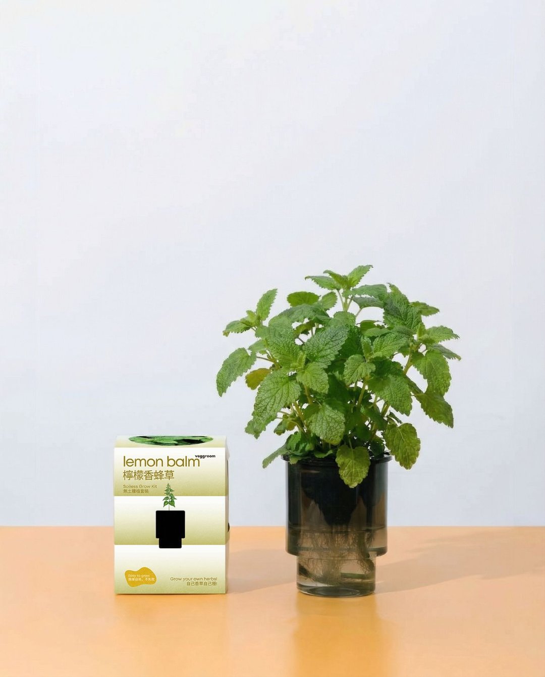 自己种 厨房香草系列：Veggroom 水耕柠檬香蜂草种植套装 - 植栽 - 植物．花 灰色