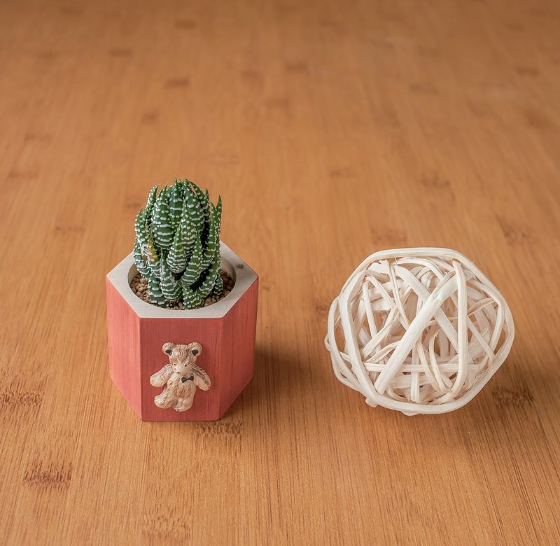 【多肉蜂巢木盆-北欧红熊】不含植 多肉 原木花器 - 植栽/盆栽 - 木头 