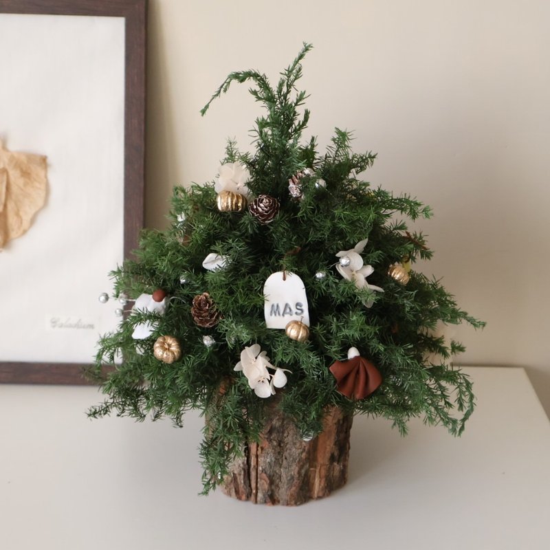 Ins 圣诞树 圣诞花圈 圣诞礼物 交换礼物 圣诞布置 - 干燥花/捧花 - 植物．花 多色