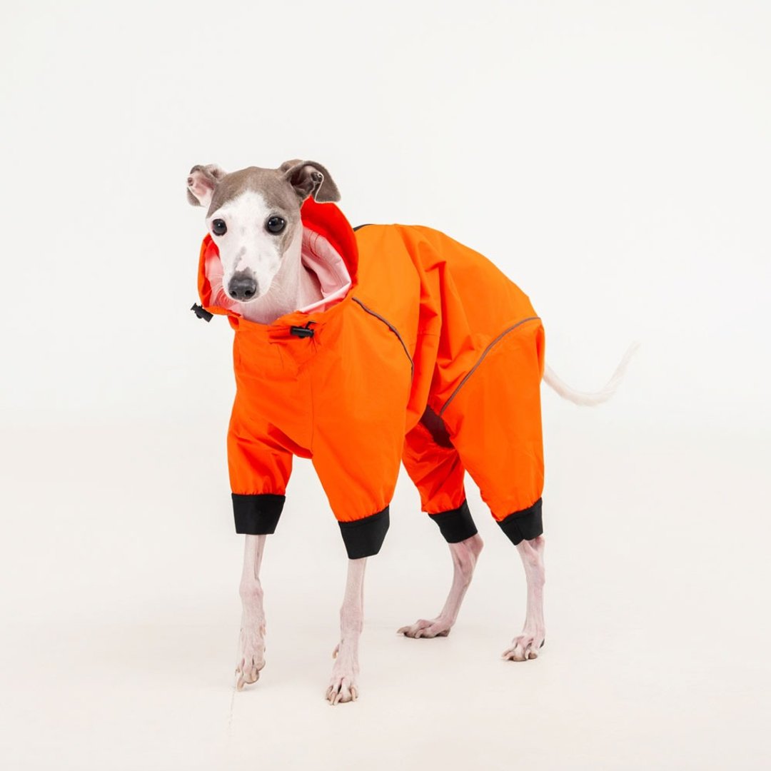 韩国 ppuya 全行犬 连身机能雨衣-橘色 - 衣/帽 - 其他材质 橘色
