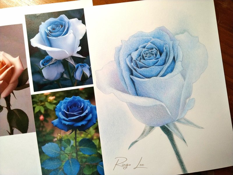 蓝色玫瑰  色铅笔手绘原画 - 海报/装饰画/版画 - 纸 透明