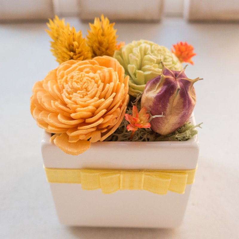 法式香颂永生盆花4 求婚告白情人节生日男/女生圣诞节交换礼物 - 植栽/盆栽 - 植物．花 橘色