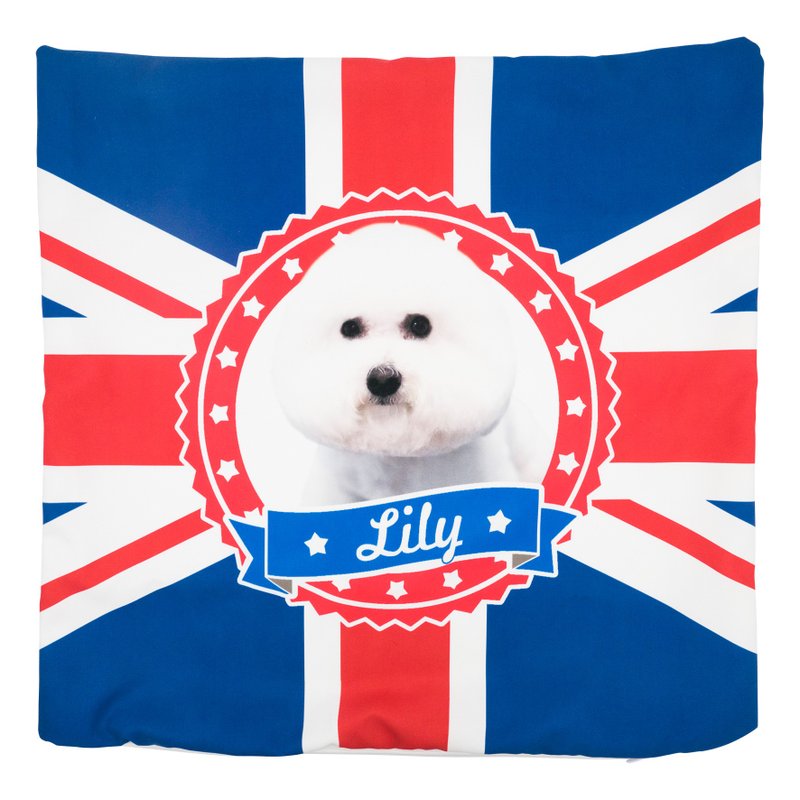 【 :toPET定制化】抱枕连枕芯 - 枕头/抱枕 - 其他材质 多色