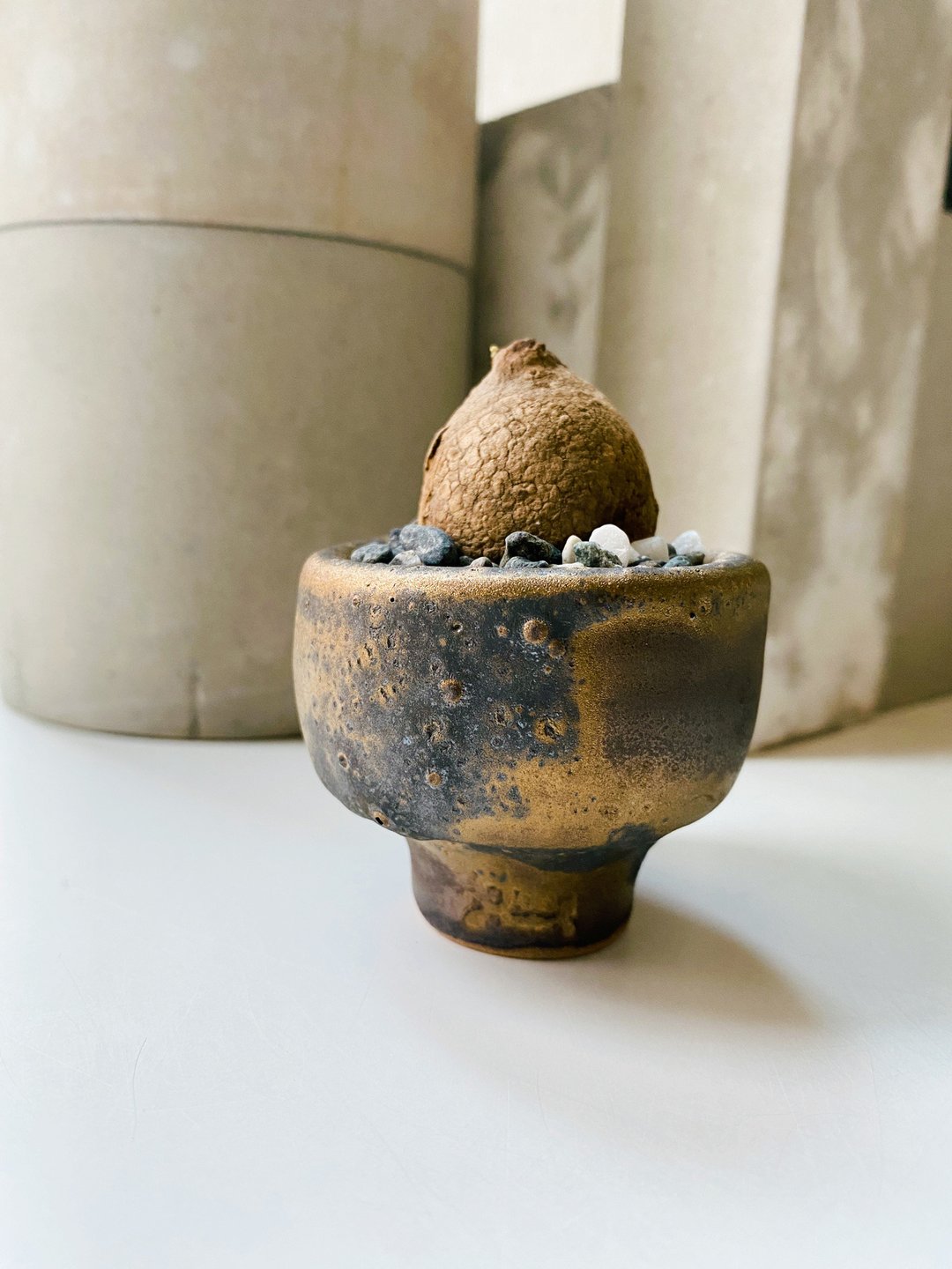 山乌龟与黑金手作陶 - 植栽/盆栽 - 陶 金色